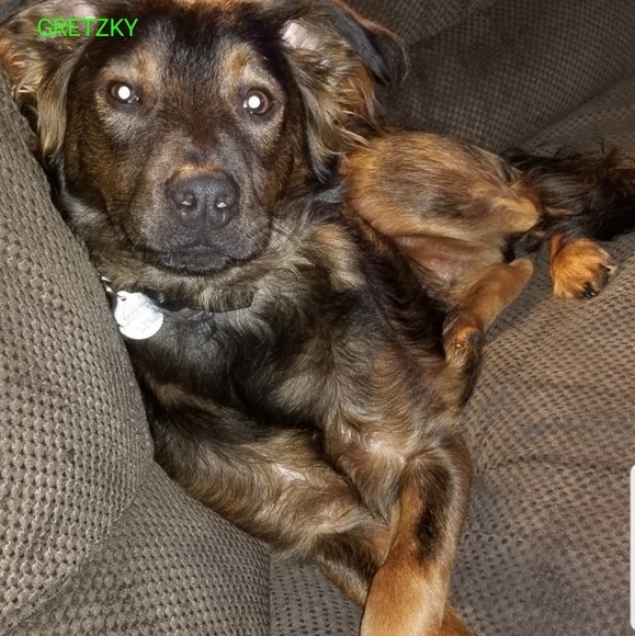 Meet your Posher, Shawn - Picture 1 of 1